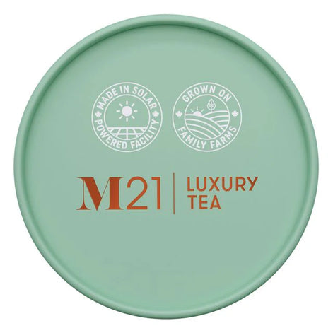 M21 Chocolate Mint Tea (24 Pack)