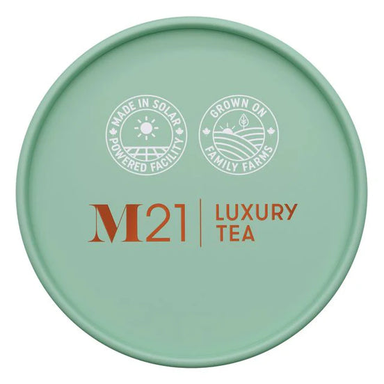 M21 Chocolate Mint Tea (24 Pack)
